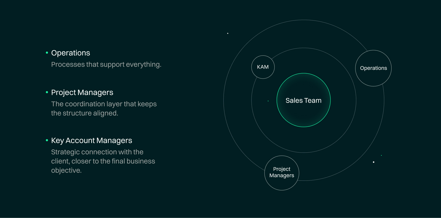 relation between operation, project management and key account management areas