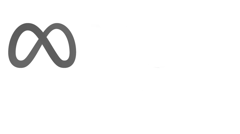 Meta Business Partner