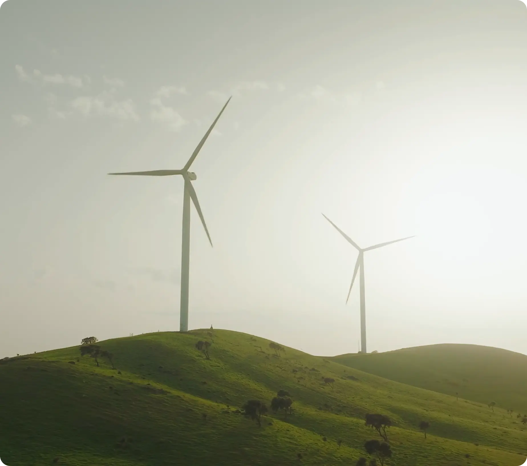 <p><em>Environmental</em> action</p>
